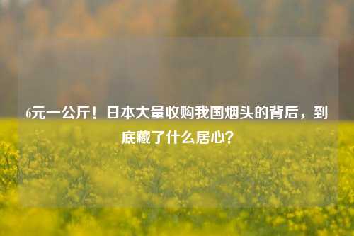 6元一公斤！日本大量收购我国烟头的背后，到底藏了什么居心？