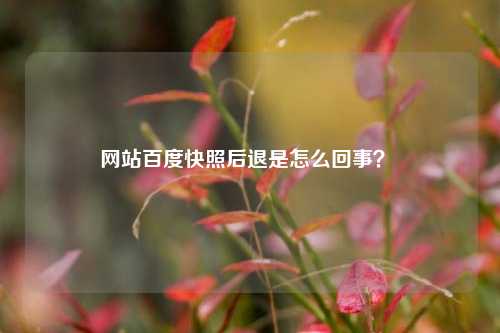 网站百度快照后退是怎么回事？ 