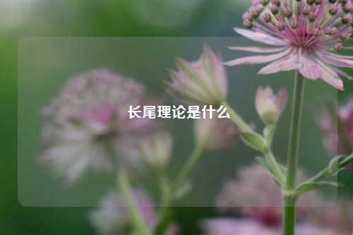  长尾理论是什么